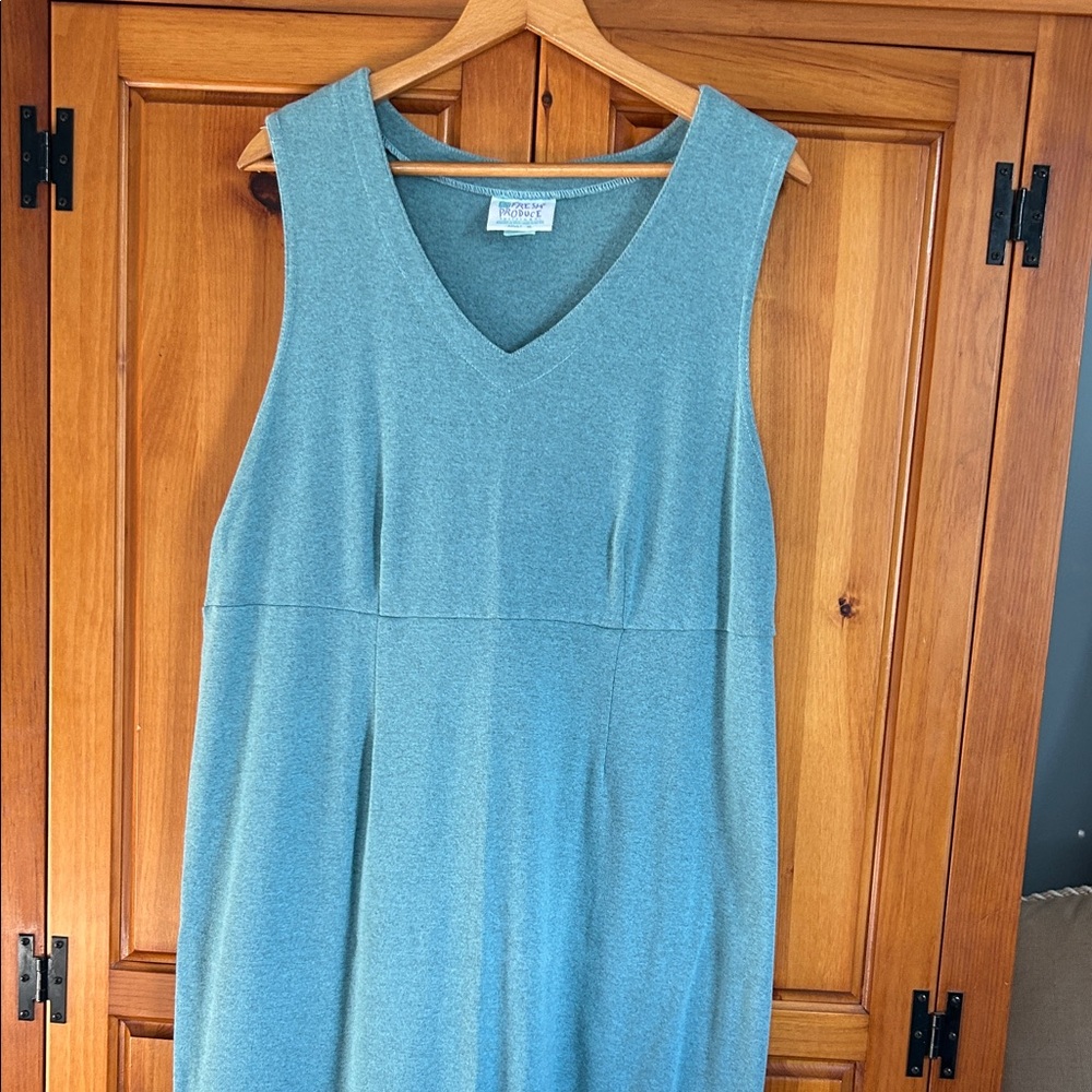 Fresh Produce Blue Sleeveless Maxi Dress